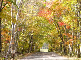 秋の青葉公園写真