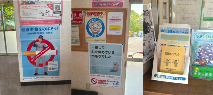 写真 取り組みのようす