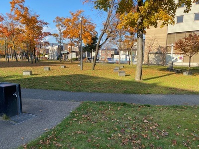 緑の広場の写真