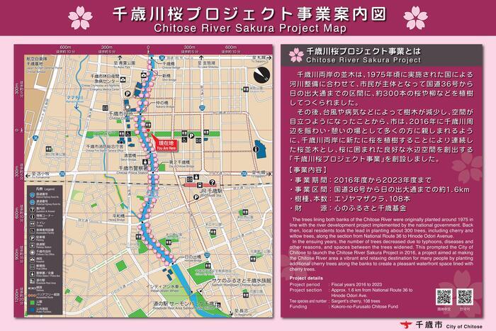 千歳川桜プロジェクト案内図