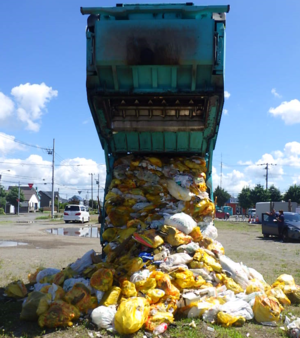 写真 パッカー車2