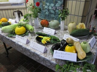 写真 活動のようす7