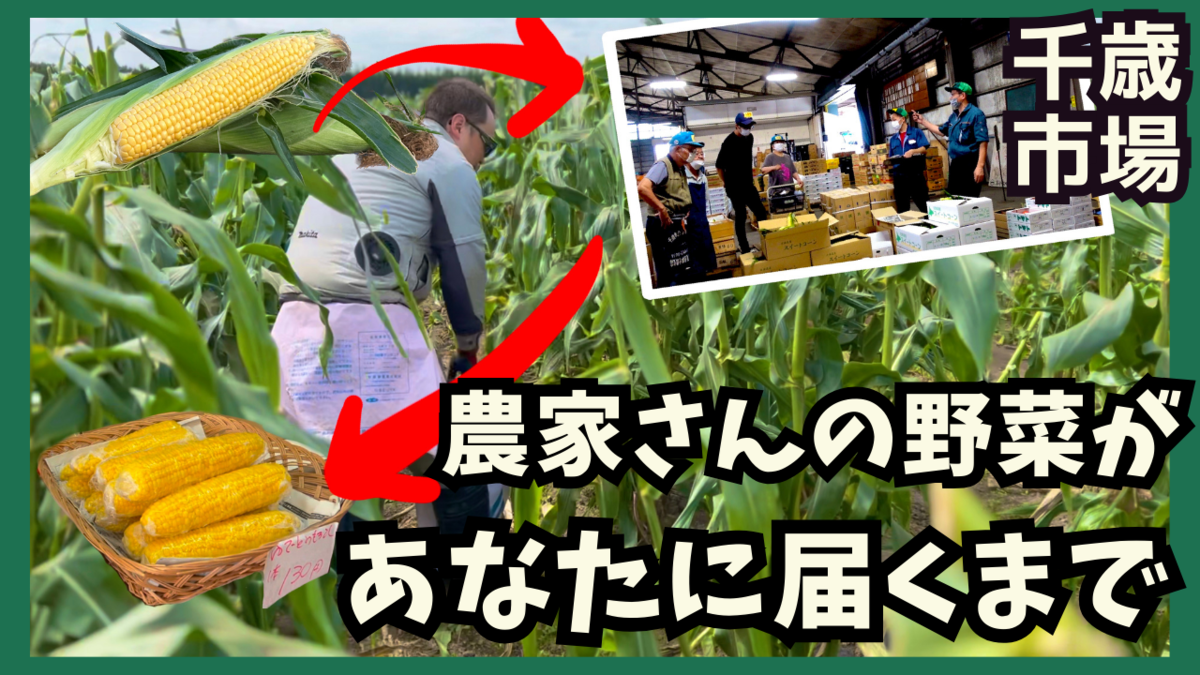 千歳市場～前編～を紹介する画像