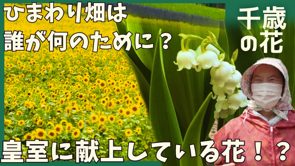 千歳の花 サムネイル画像