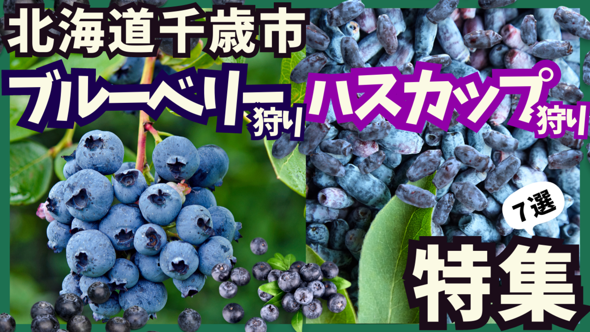 ハスカップ・ブルーベリー狩り特集 サムネイル画像