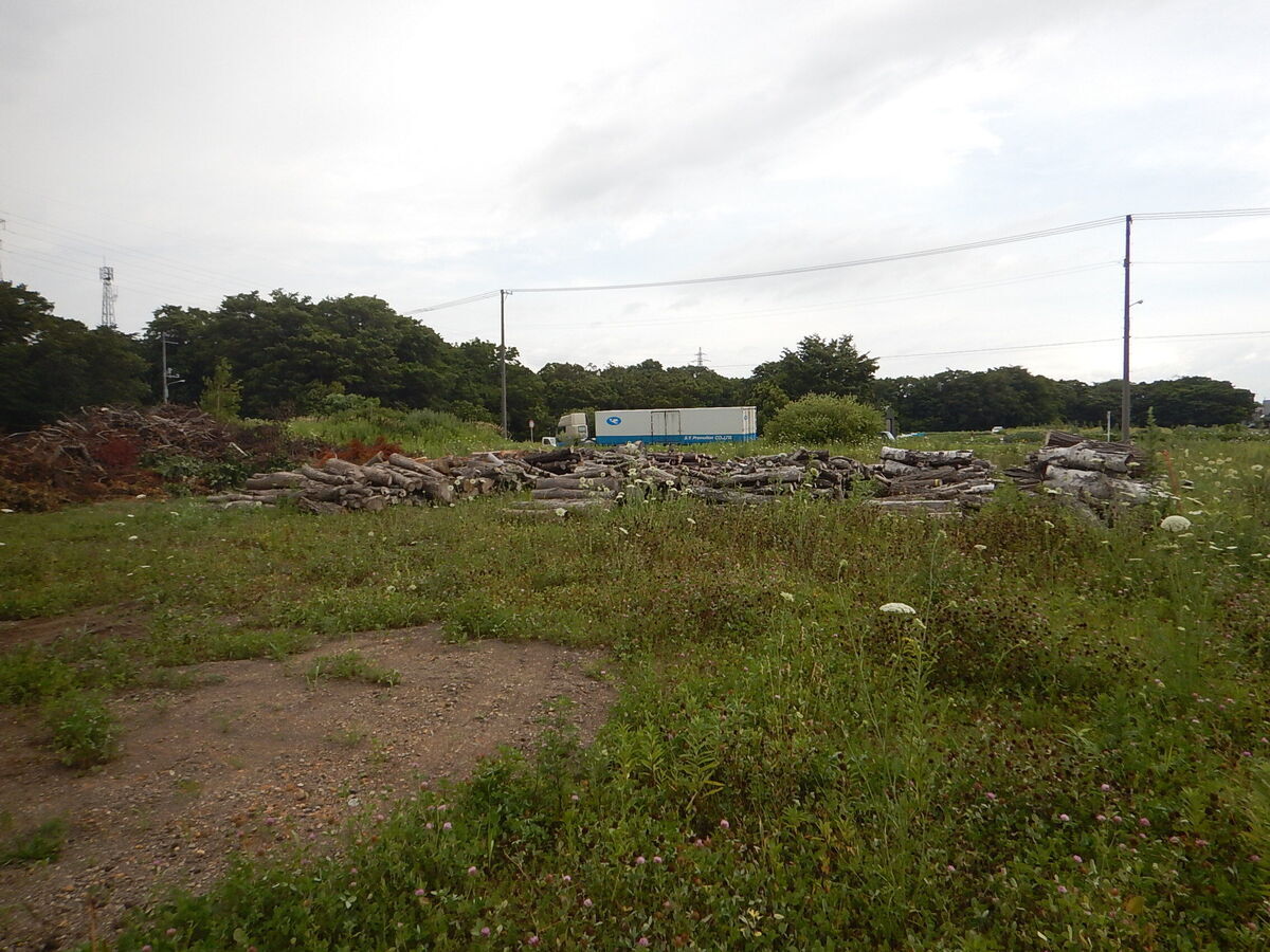 写真 旧青空公園