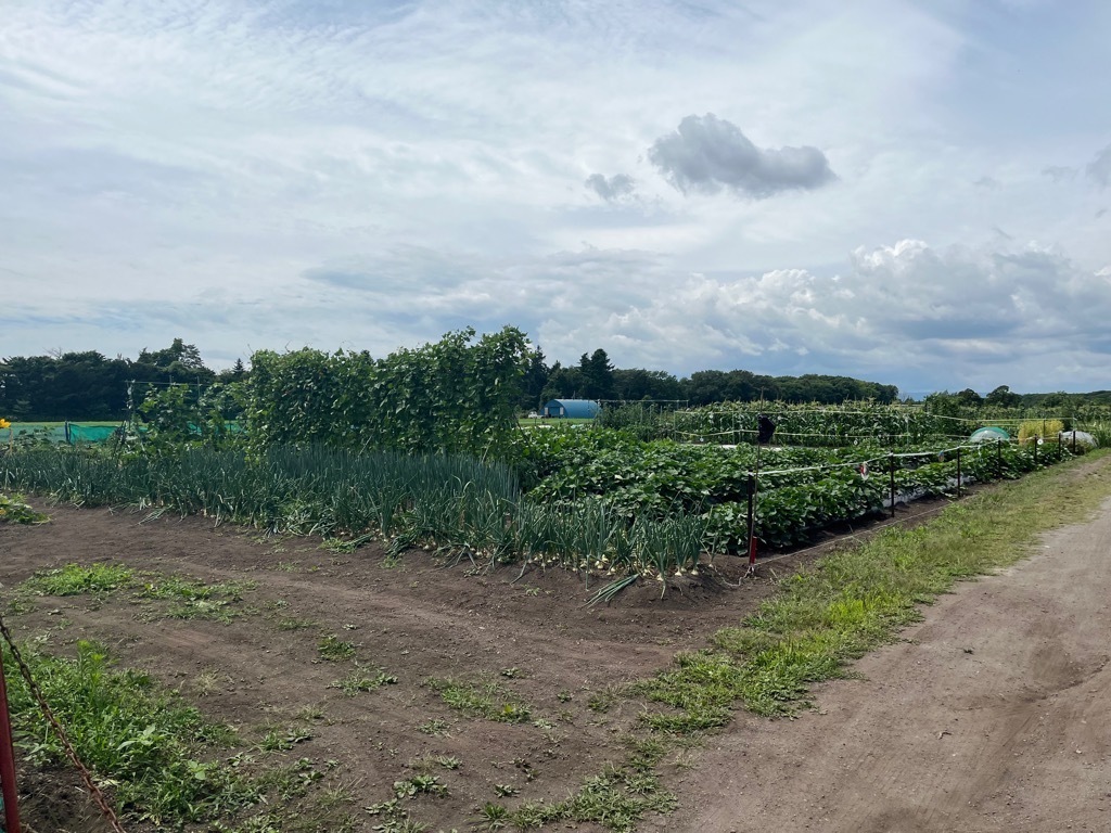 写真 上田農園1