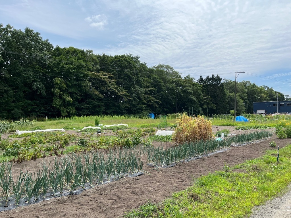 写真 坂田農園1