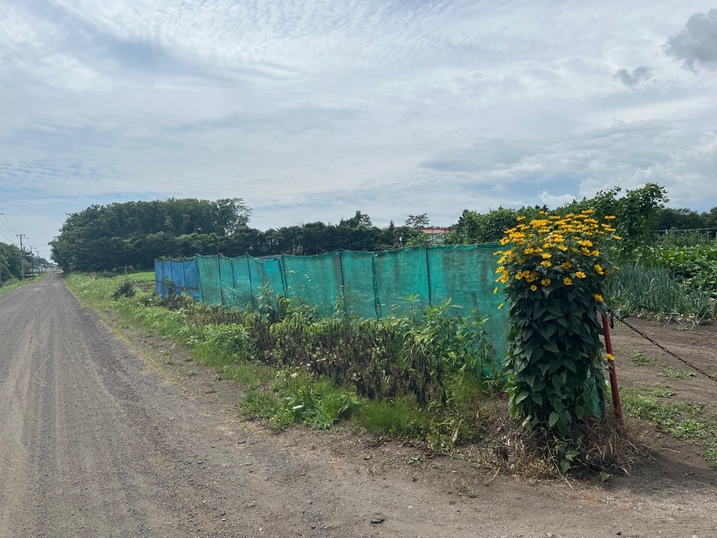 写真 上田農園2