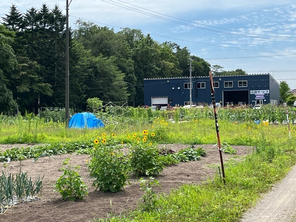 写真 坂田農園2