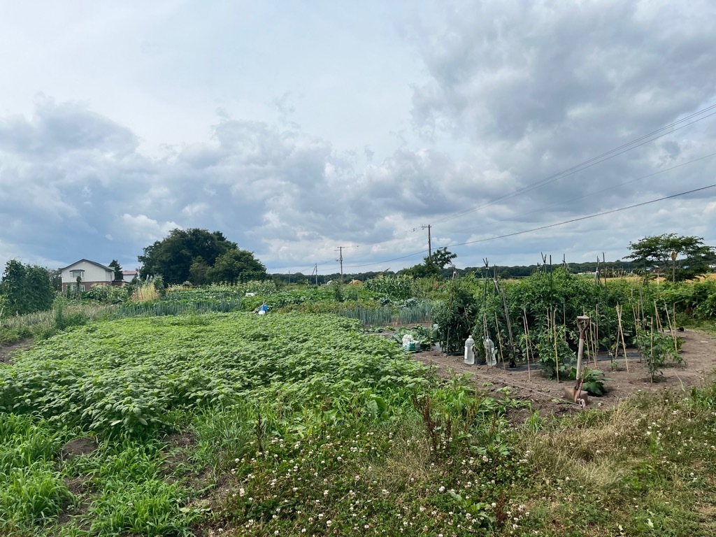 写真 髙橋家庭菜園1