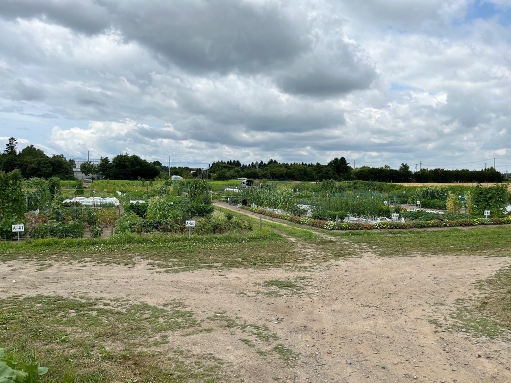 写真 根志越市民農園1