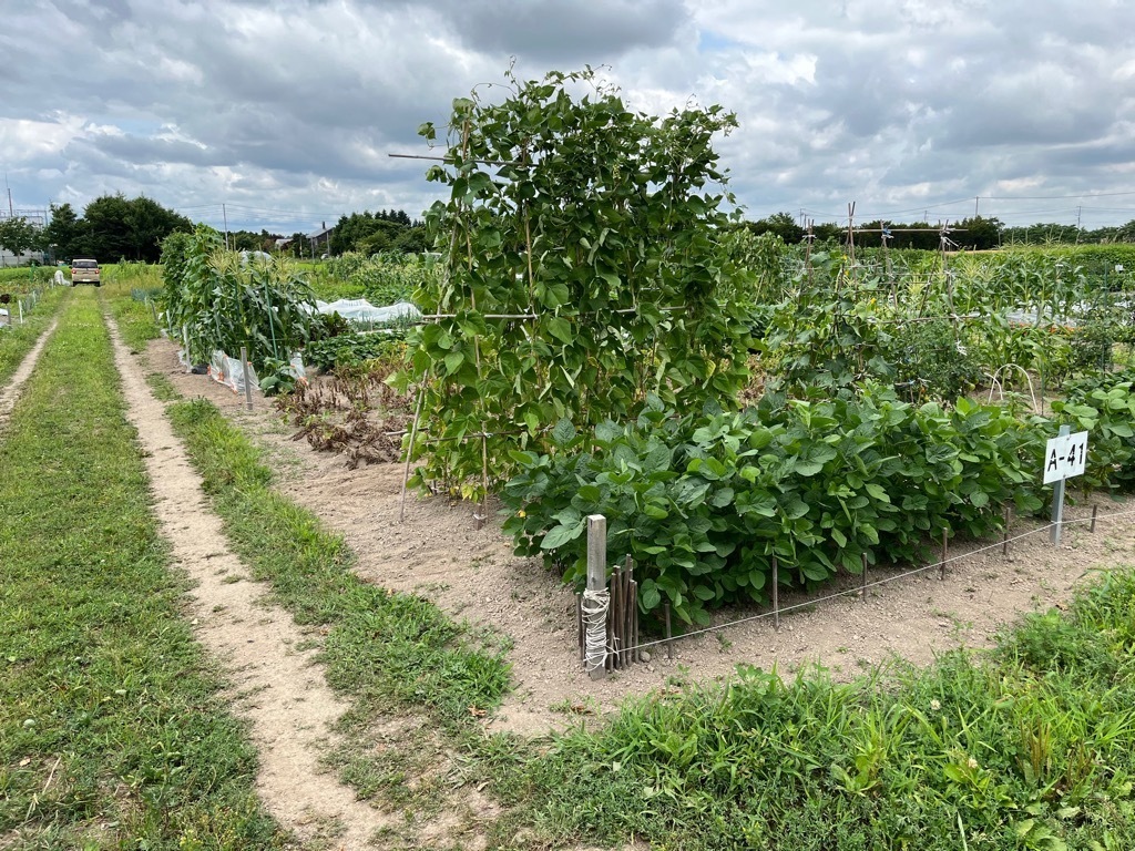 写真 根志越市民農園2