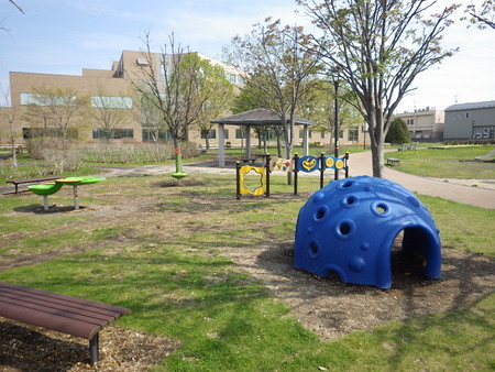 写真 北光公園3