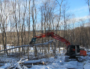 重機で間伐作業をしている写真