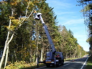 写真 コムカラ峠(枝払い状況)