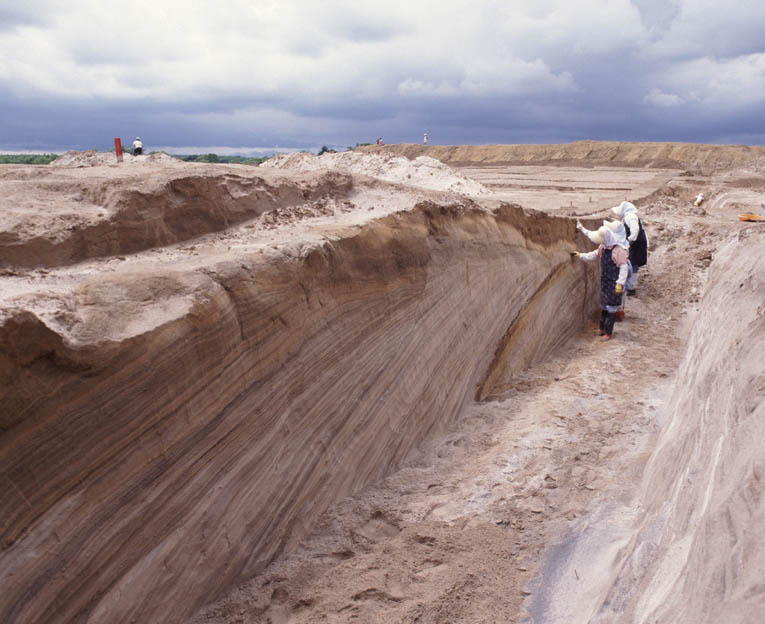古砂丘の断面写真