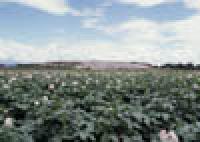 千歳で最も古い遺跡の写真