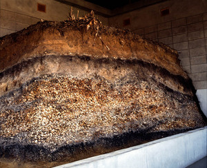 美々貝塚の断面の写真