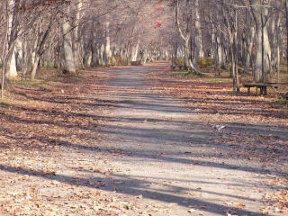 晩秋の青葉公園の写真