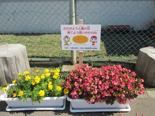 写真 花運動のようす1