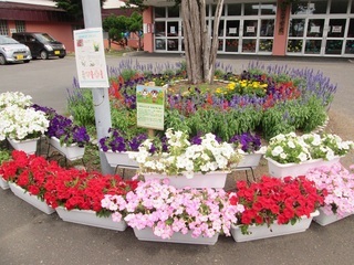 写真 花運動のようす4