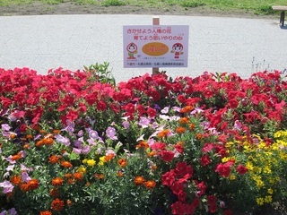 写真 花運動のようす2