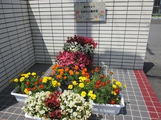 写真 花運動のようす5