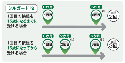 HPVスケジュールのイメージ