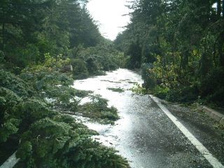 支笏湖周辺の写真2