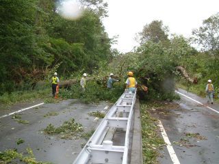 道道支笏湖公園線の写真1