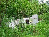 不法投棄の写真1