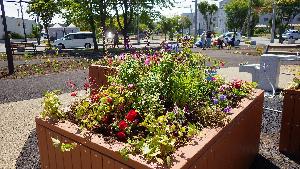 ポエム広場&nbsp;花壇の写真