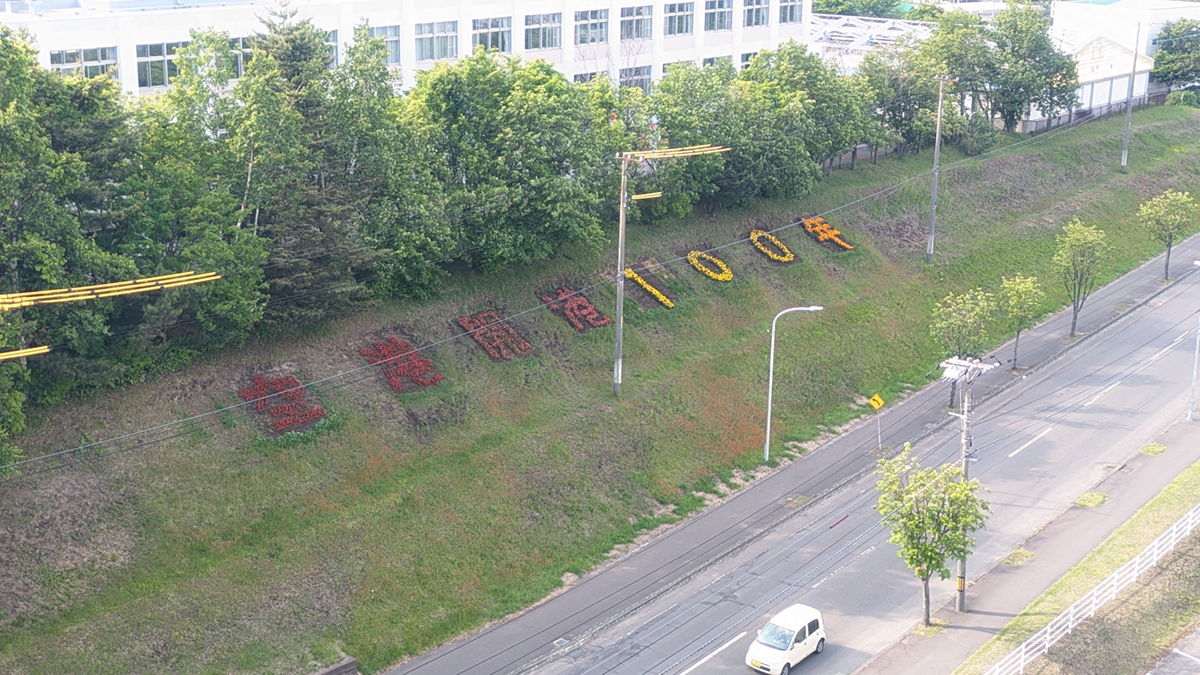 花文字花壇の写真