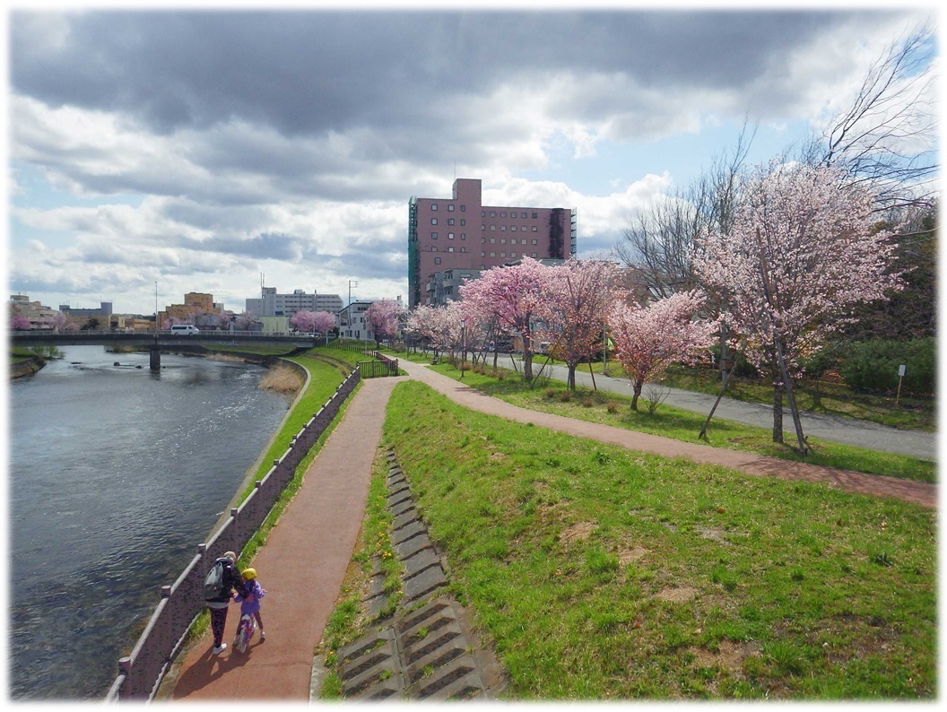 仲の橋から清雲橋(左岸)の写真