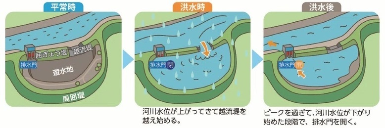 平常時・洪水時・洪水後の遊水地の説明図