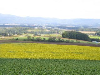 写真 パレットの丘