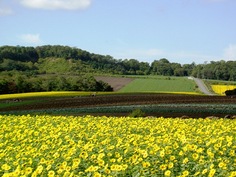 農業委員会トップページのイメージ写真