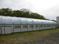 写真 上屋シート