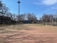 写真 テニスコート