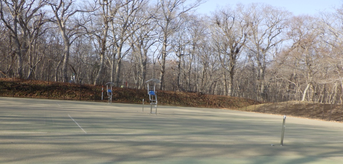 青葉公園庭球場写真