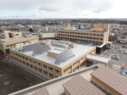 2018年11月の写真