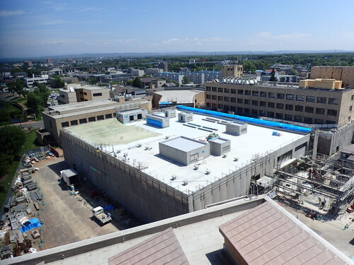 2018年7月の写真