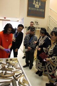 アンカレジ博物館の写真1