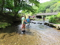 川の石を集めている写真