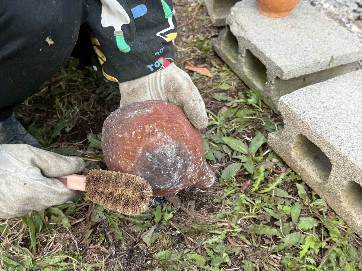 取り出した土器には、煤がついています。それをブラシで、落とします。