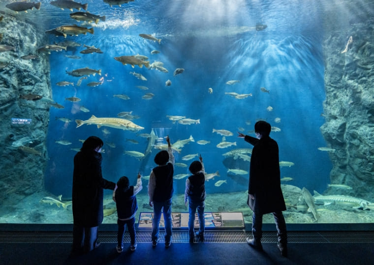 水族館の写真