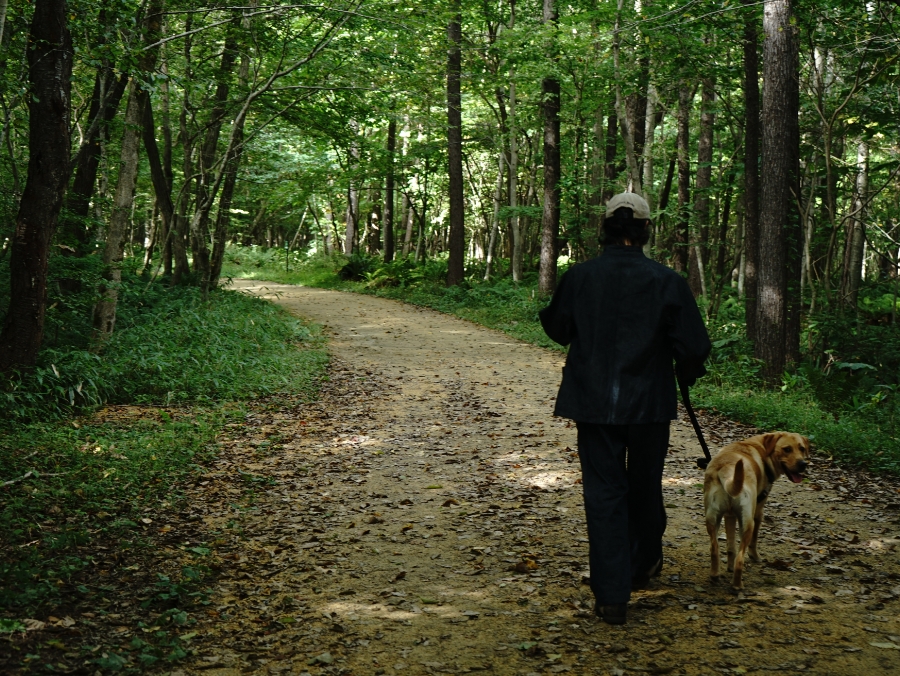 林道を愛犬と散歩する洸太郎さんの写真