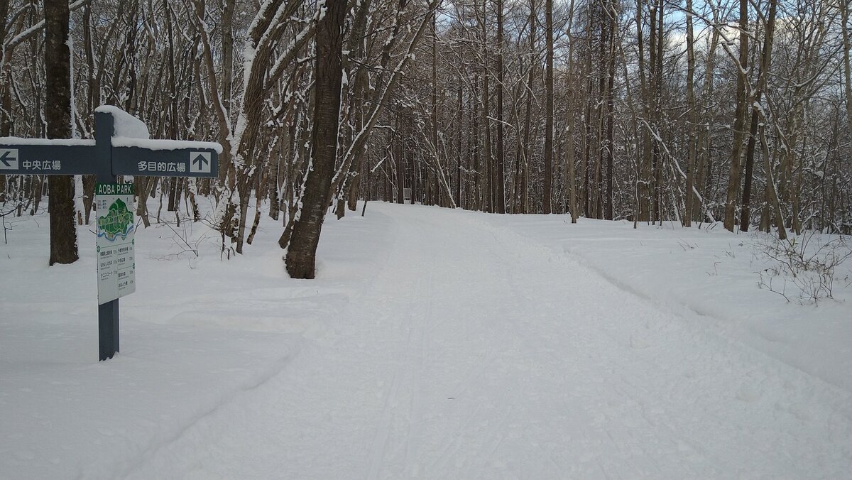 雪が積もった青葉公園の写真