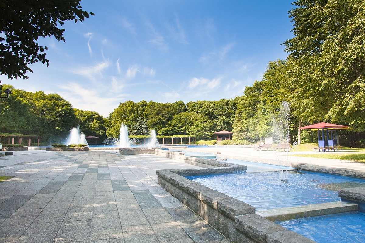 夏の青葉公園の写真